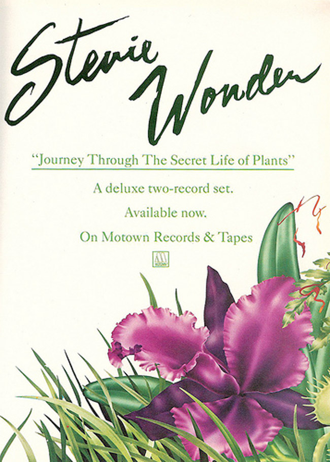 Stevie Wonder's Journey Through “The Secret Life of Plants